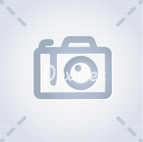 Букет из красной розы 101 шт.