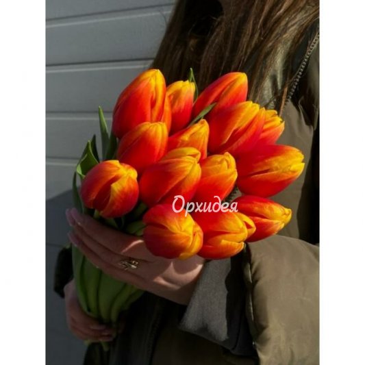 Букет из тюльпанов &laquo;Бавария&raquo;