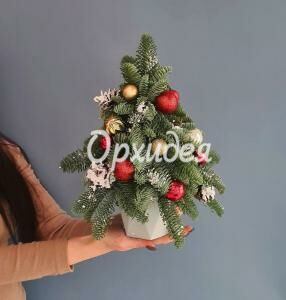 Новогодняя композиция «Ёлочка»