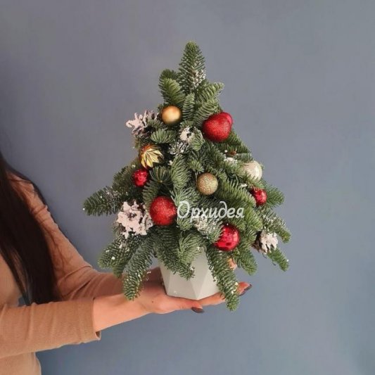 Новогодняя композиция " Ёлочка "