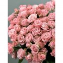 АКЦИЯ !!! Кустовая роза (розовая) -25 шт.