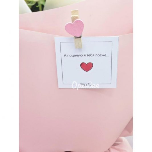 Букет &laquo;Недотрога&raquo;