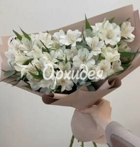 Букет «Сильвия»