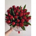 Тюльпан красный 29 шт.