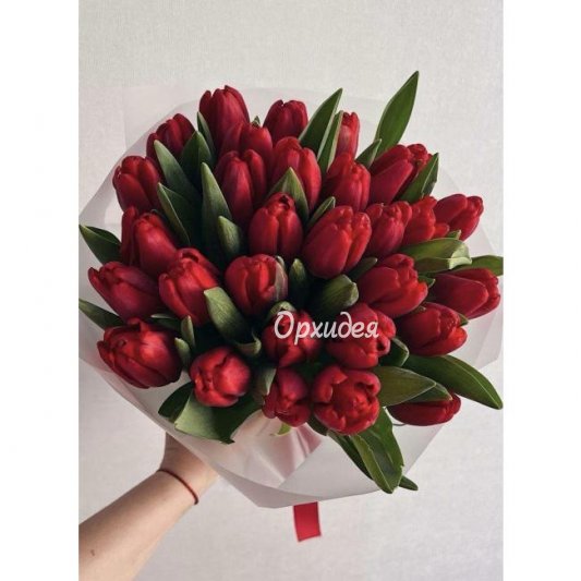 Тюльпан красный 29 шт.