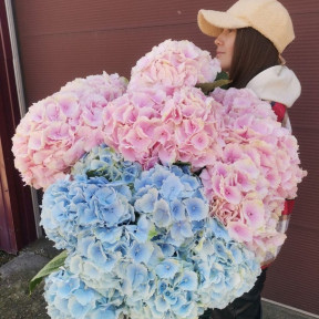 studio_orchid_irk-image-21-09-2021 (8)-min