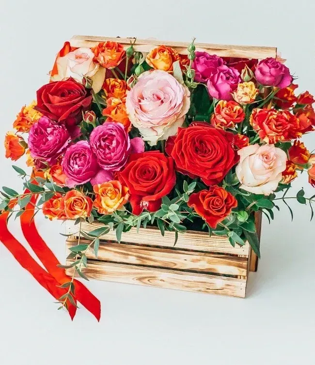 О компании «Орхидея»